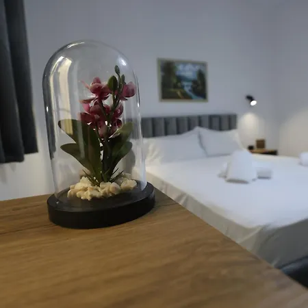 Otel Alizee 3*