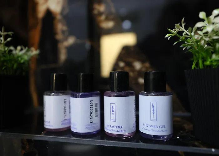 Alizee Ξενοδοχείο 3*